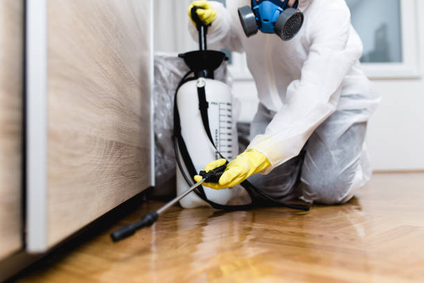 Best Pest Prevention Services  in Ptland, OR