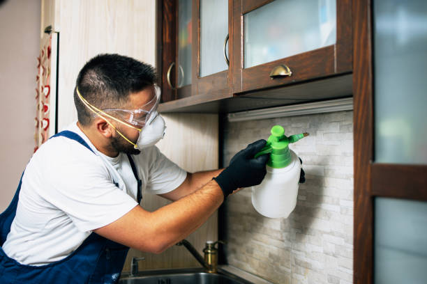 Pest Control Cost in Portland, OR