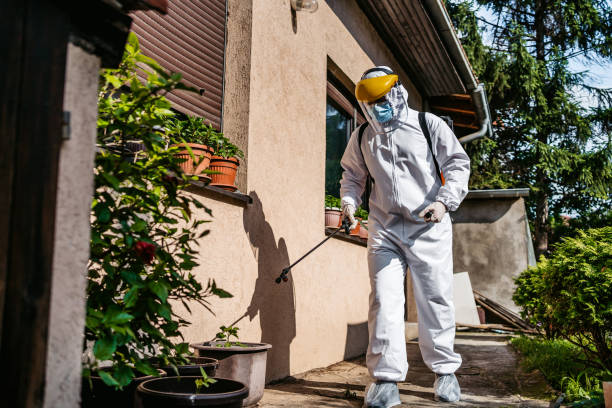 Best Pest Control Near Me  in Ptland, OR