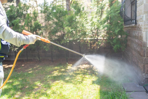 Best Rat Extermination Near Me  in Ptland, OR