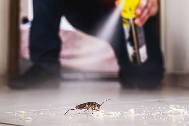 Best Pest Removal Services  in Ptland, OR