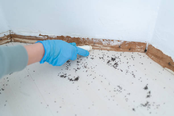 Professional Pest Control in Portland, OR